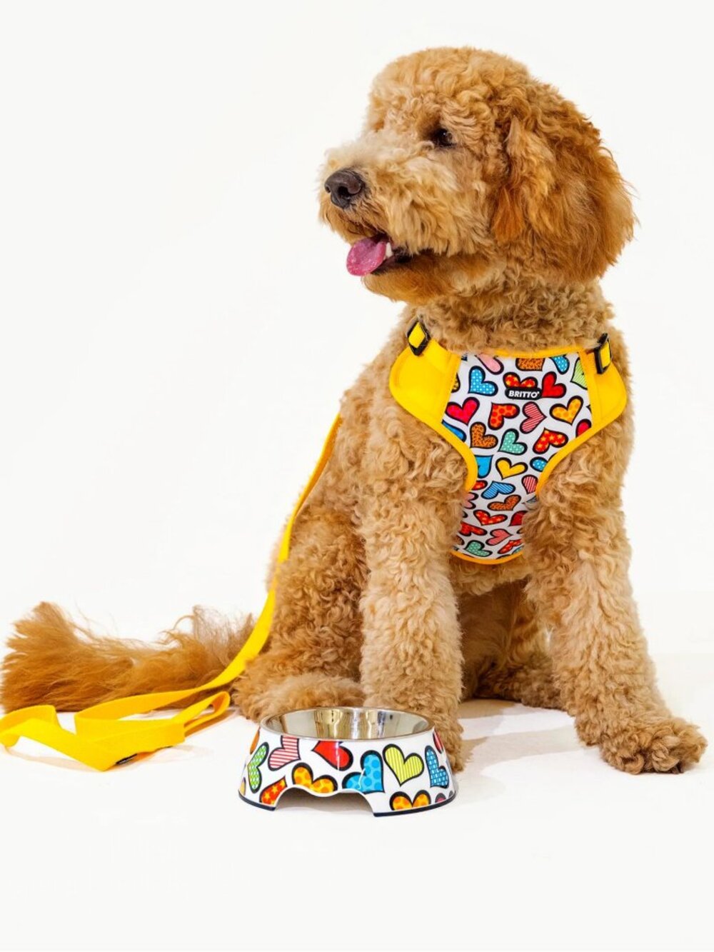 "Britto" Dog Hearts Pet Harness Size M "Brand New